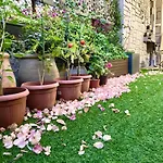 Apartament 250m2 - 8mn Walking Distance Palais Festivals And Cannes