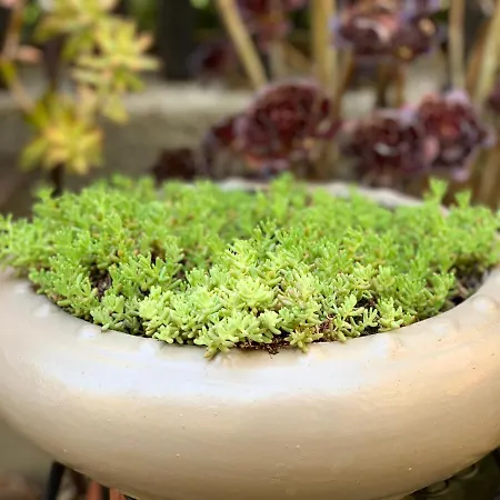 250m2 - 8mn Walking Distance Palais Festivals And Apartment Cannes