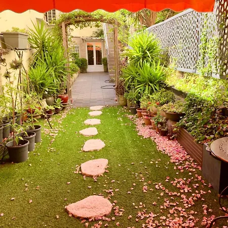 250m2 - 8mn Walking Distance Palais Festivals And